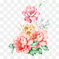 水彩画：花卉水彩画png图片剪辑艺术.