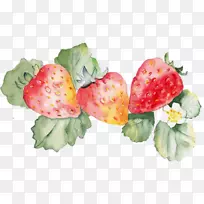 水彩画设计图像艺术图形草莓植物