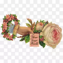 花园玫瑰花束珠花卉设计.花卉形象