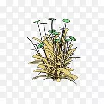 花卉设计花盆树植物茎生花园床花