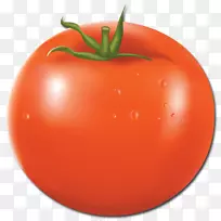 李子番茄灌木番茄饮食食品水果