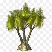 棕榈树图像png图片剪辑艺术树