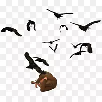 鸭鸟迁徙夹艺术动物-鸭