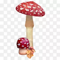 木耳蘑菇剪贴画-蘑菇