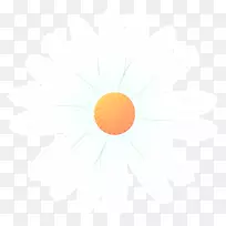 桌面壁纸电脑字体橙色S.A。天空有限公司
