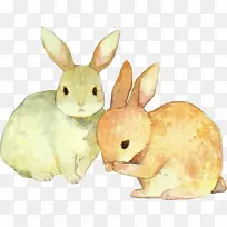 兔画水彩画形象-小兔