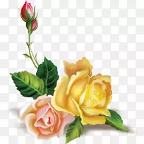 花束设计玫瑰剪贴画-花