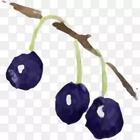 浆果水彩画插图图片浆果-蓝莓植物