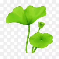 叶png图片神圣莲花设计莲花效果-绿色植物