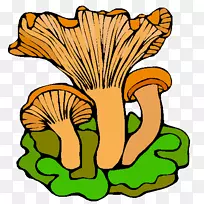 木耳蘑菇动画-蘑菇
