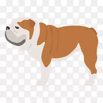 英国老斗牛犬培育白喉牧羊犬-莱昂伯格