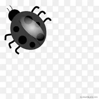 剪贴画图形png图片瓢虫免费内容黑瓢虫