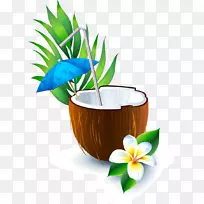 png图片图形椰子水图像果汁椰子饮料