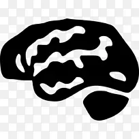 人脑计算机图标可伸缩图形.大脑