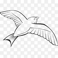鸟类飞行剪辑艺术鹭、鸽子和鸽子-鸟