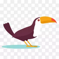 鸟类设计png图片鹦鹉绘图.简单鸟