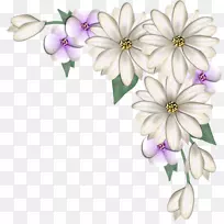 花卉设计剪贴画维多利亚图案美丽的花朵