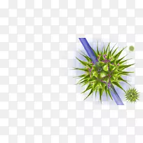 微生物细菌显微镜细胞病毒-红树林沼泽