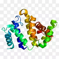Rho相关蛋白激酶arhgap 26基因pymol