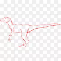伶盗龙绘图/m/02csf插图手指-猛禽出版社