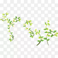 影像png图片设计照片垂柳枝条