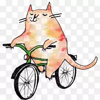 猫自行车插图骑山地车-猫