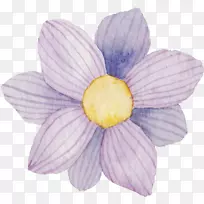 花卉图案紫手画熊