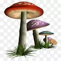 食用菌香菇png网络图.蘑菇