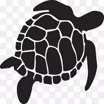 海龟爬行动物图形png网络图.海龟
