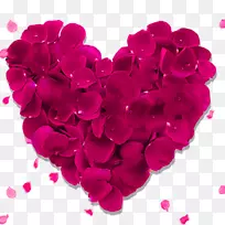 情人节心图形图像礼物-玫瑰花瓣