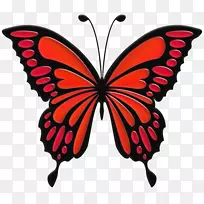 蝴蝶和蛾虫夹艺术毛刷脚蝴蝶.秃顶透明和半透明