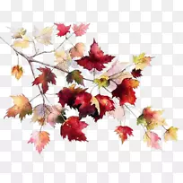 秋叶彩陶彩绘形象-秋季