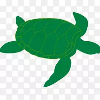 海龟剪贴画开放部分爬行动物-默认水彩