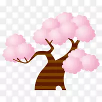 樱花插图图片插画