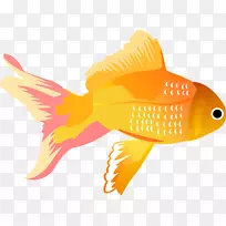 图锦鲤鱼夹艺术插图-无鱼边框