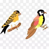 鸟类图形插图设计下载-鸟类动画