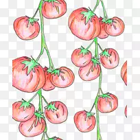 番茄剪贴画植物茎.番茄