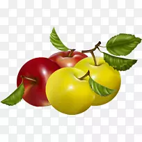 巴巴多斯樱桃苹果图形水果素食烹饪-苹果