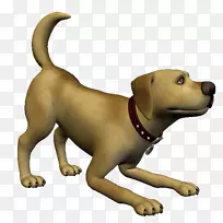 金猎犬动画图片树皮-金毛猎犬
