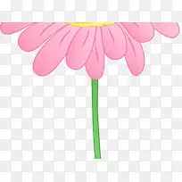 剪贴画图形图像花卉png图片.墨西哥雏菊