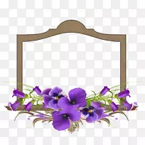 非洲紫罗兰花画框.花卉边框