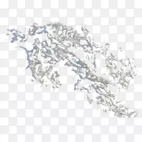 png图片海泡沫图像桌面壁纸.AlDub透明和半透明