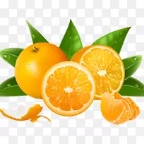 果汁橙png图片图形clementine.柚子旗