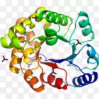 剪贴画生物动物短信-EIB