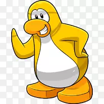 企鹅俱乐部企鹅鸟脊椎动物黄色眼睛企鹅-阿米加旗帜