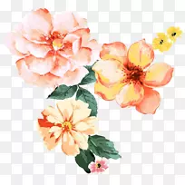 水彩画：花卉水彩画花卉设计png图片.花卉