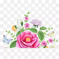 花园玫瑰花卉设计水彩画插画图