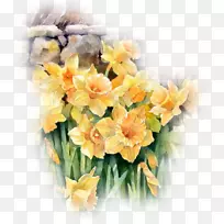 水彩：花松水彩画油画