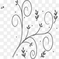线条艺术点植物茎角插图-安吉拉边界