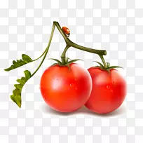 png图片蔬菜樱桃番茄汁蔬菜
